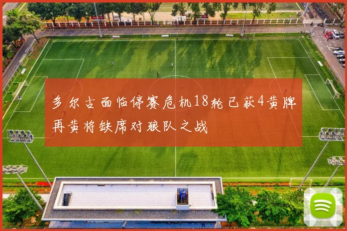 多尔古面临停赛危机18轮已获4黄牌再黄将缺席对狼队之战