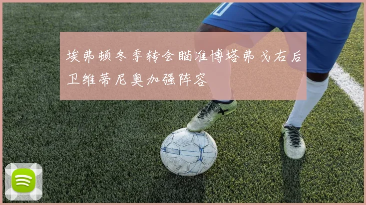 埃弗顿冬季转会瞄准博塔弗戈右后卫维蒂尼奥加强阵容